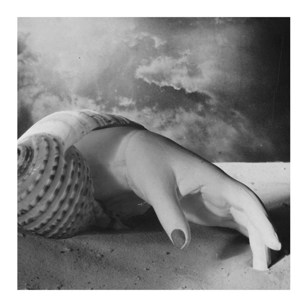 Untitled Shell Hand ‘Untitled (Hand-Shell)’ by Dora Maar, 1934. This artist was ...